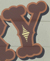 Y